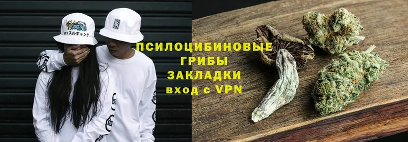 Псилоцибиновые грибы Psilocybe Истра